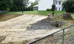 Silt Pond restoration