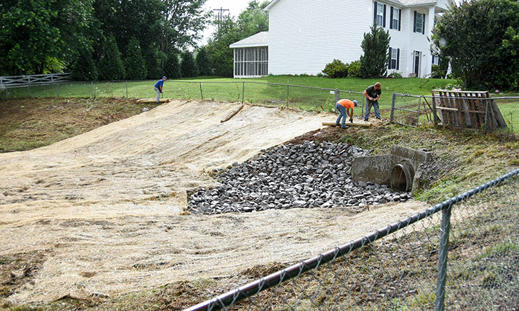 Silt Pond Restoration